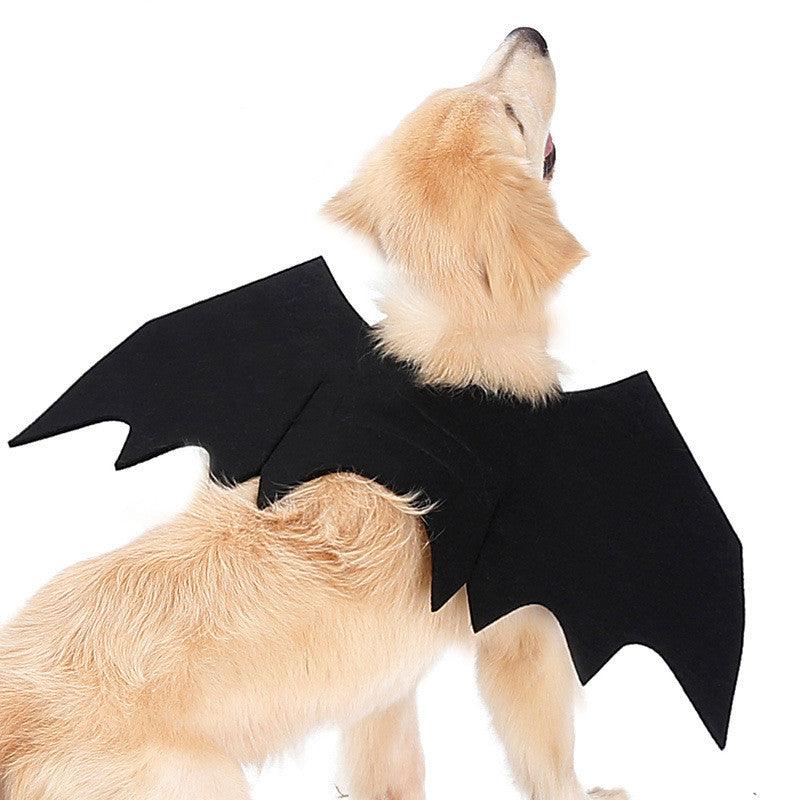 Shadow Wings Dog Costume-2