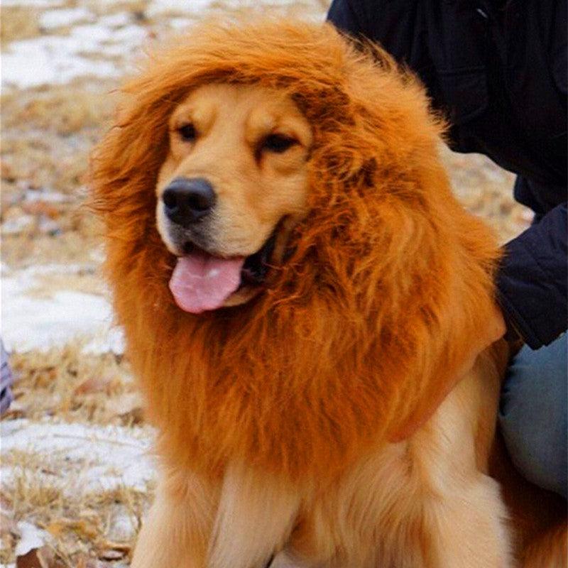 Regal King's Mane For Majestic Mutts-2