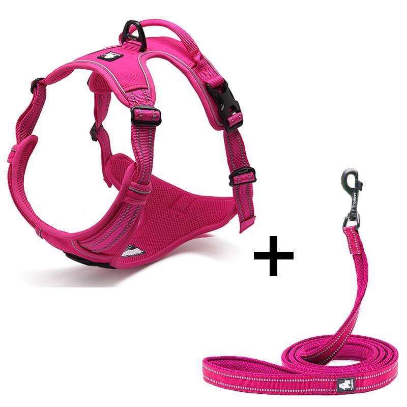 Ultimate Canine Comfort Harness-4