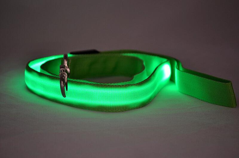 Glowing Pet Leash - Illuminated Led Dog Leash-3