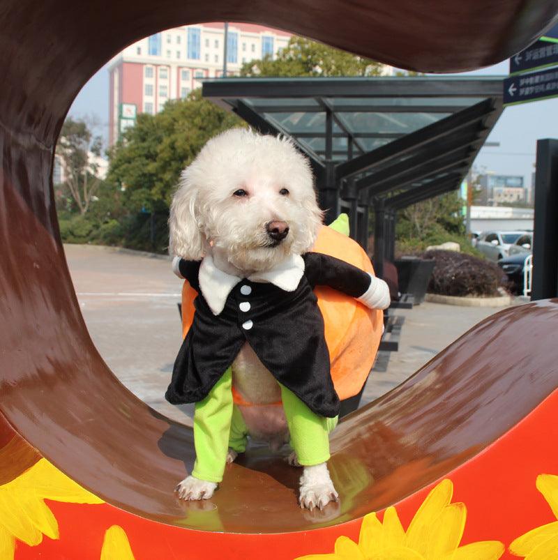 Spooky Pumpkin Pooch Costume-0