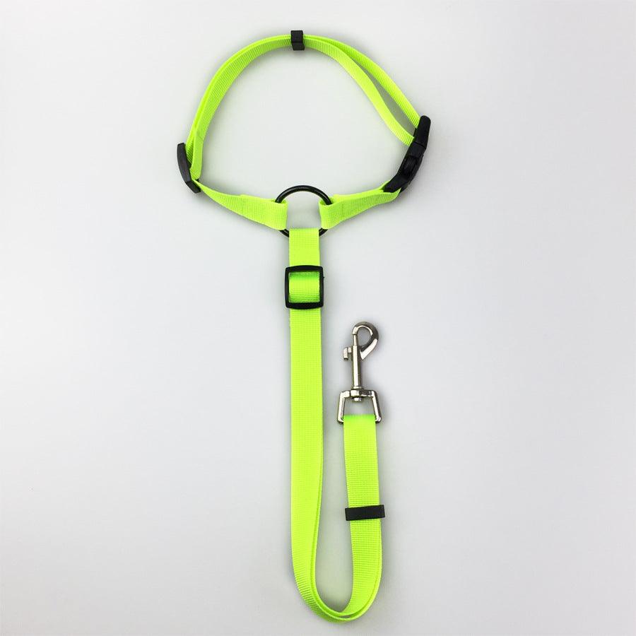 Secureflex Pet Safety Leash-7