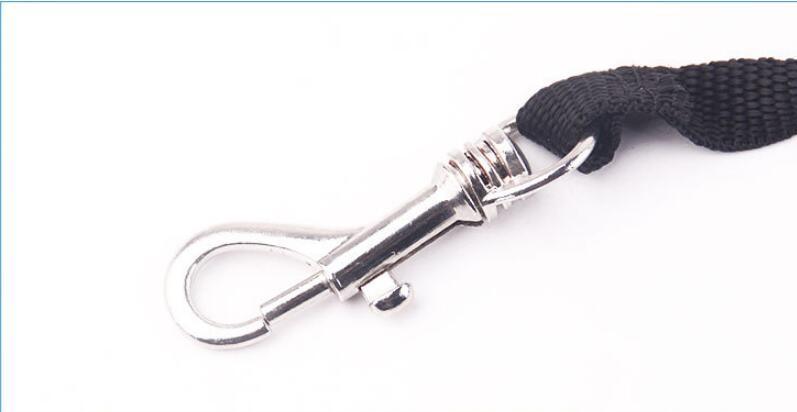 3-In-1 Illuminated Dog Leash With Retractable Garbage Bag-4