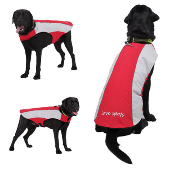 Reflective Pet Jacket: Stay Safe And Stylish On Your Walks-0