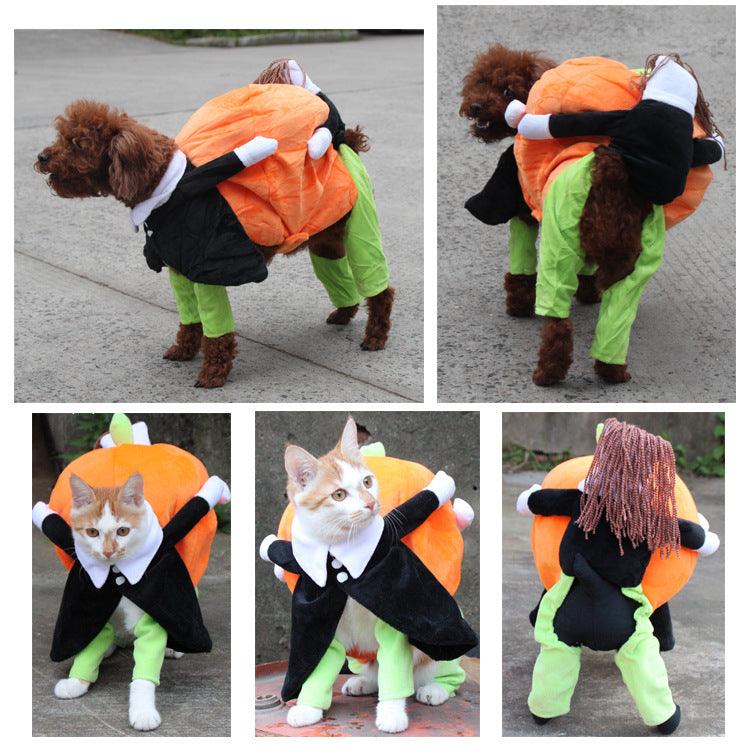Spooky Pumpkin Pooch Costume-4