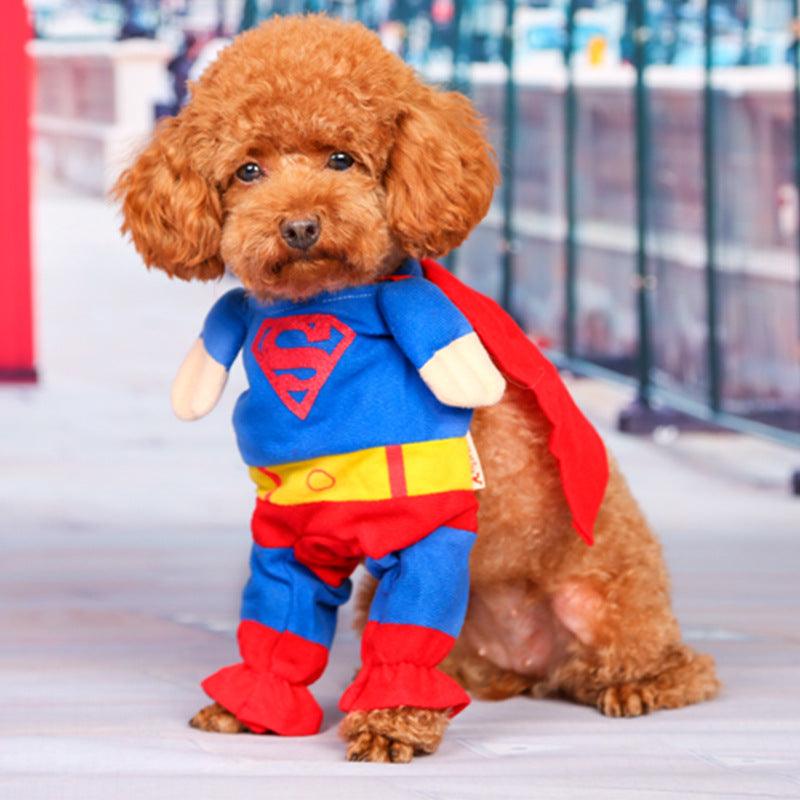 Pawsome Pet Couture: The Ultimate Dog Clothes Transformation-3