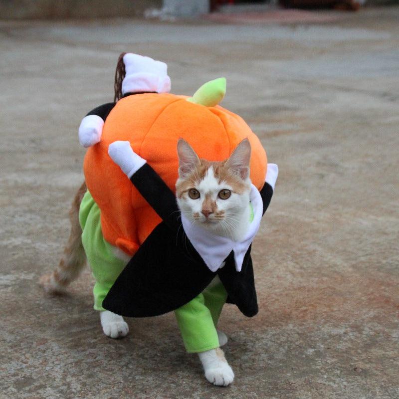 Spooky Pumpkin Pooch Costume-1