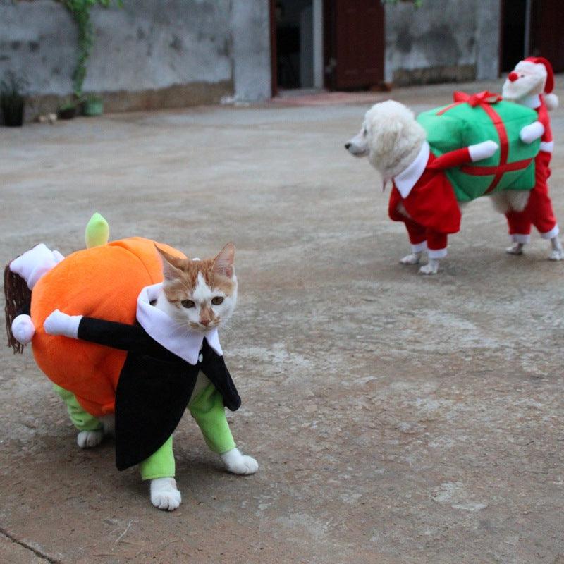 Spooky Pumpkin Pooch Costume-2