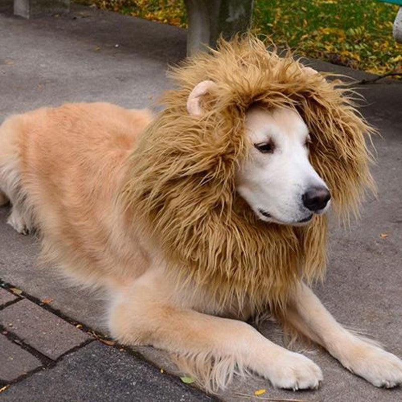 Lion King Pet Cosplay Costume: Winter Warm Wig For Cats And Dogs-1