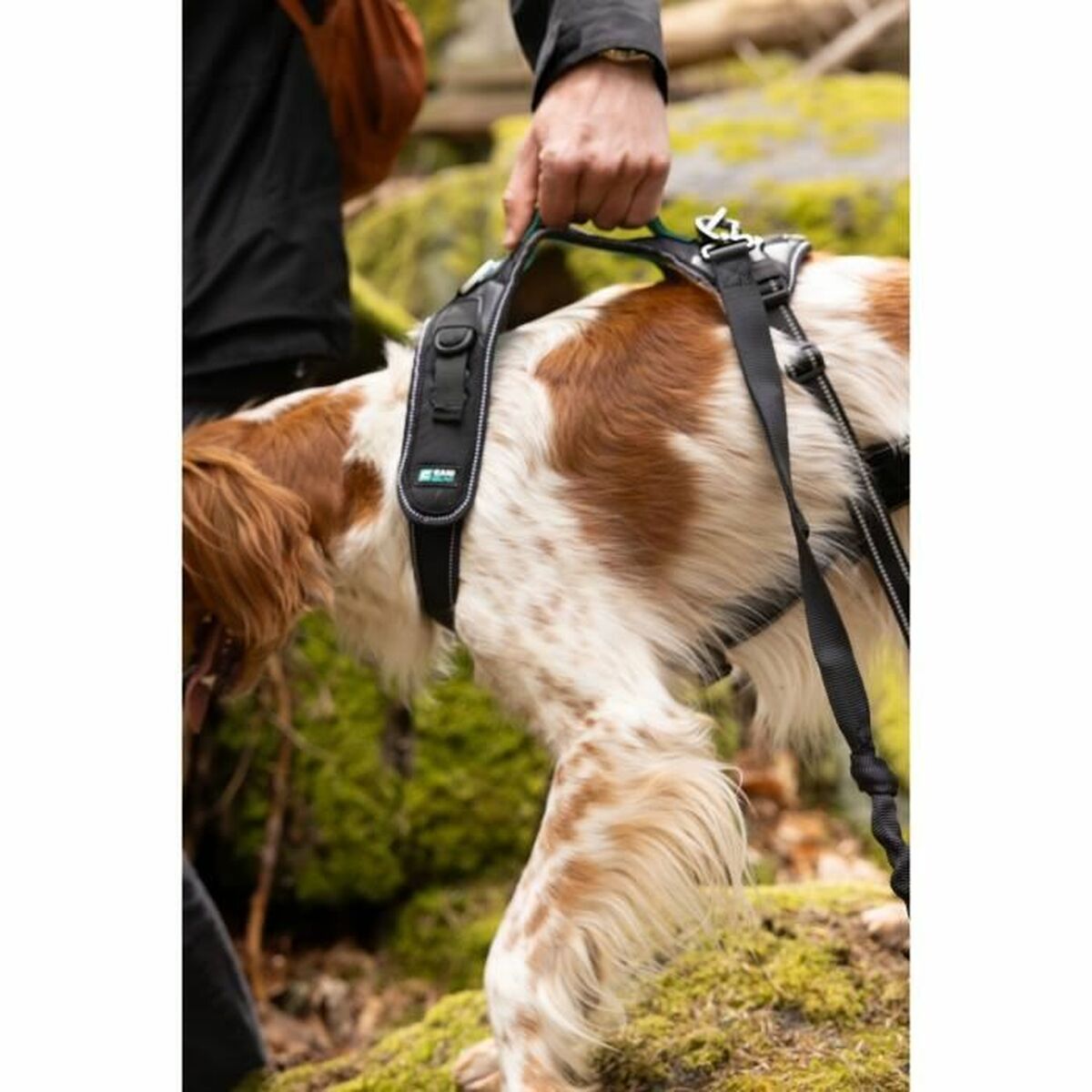 Dog Harness SYMBIOZ Black L-4
