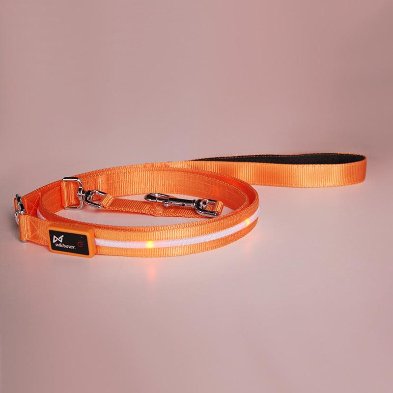 Luminous Glow-In-The-Dark Usb Charging Pet Leash-4