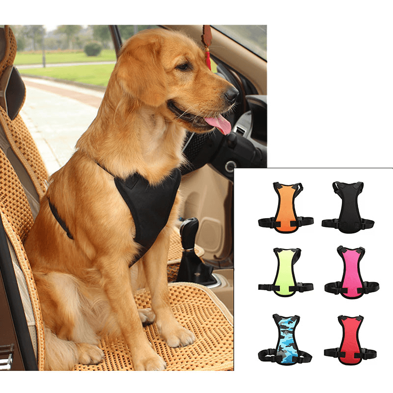 Petsafe Travel Harness: Secure And Stylish Car Restraint For Your Furry Friend-0