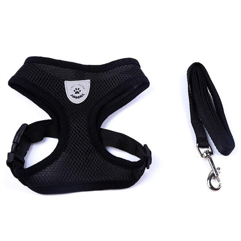 Pet Comfort Ride Leash And Seat Belt Combo-17