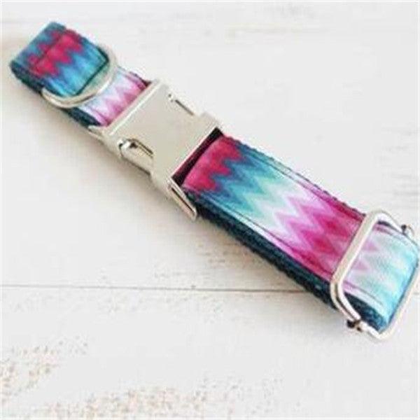 Vibrant Ribbon Traction Set For Patterned Dog Collars-2