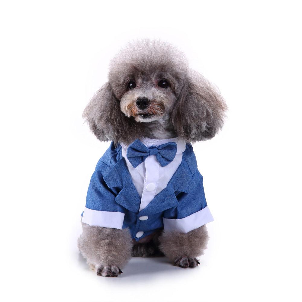 English Bulldog Pet Dog Suit-1