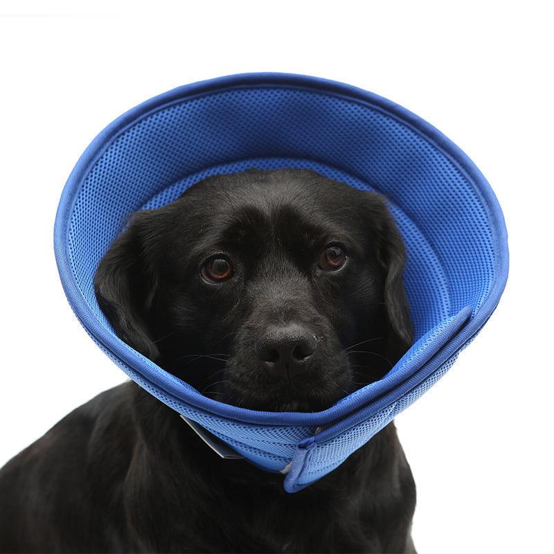 Pet Recovery Shield: Transparent Anti-Bite Collar For Dogs And Cats-1
