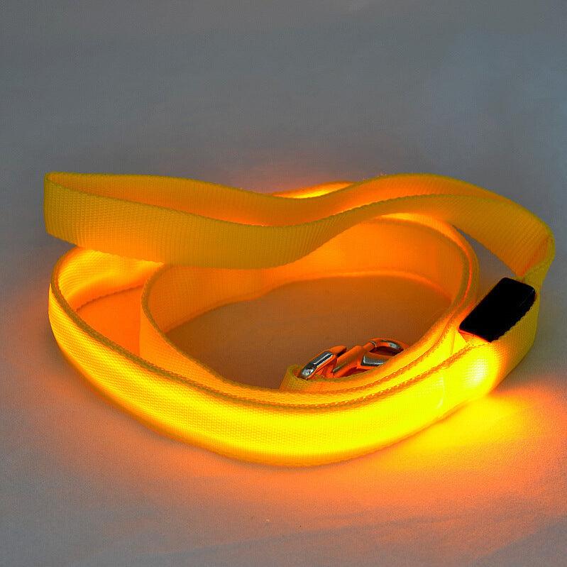 Glowing Pet Leash - Illuminated Led Dog Leash-8