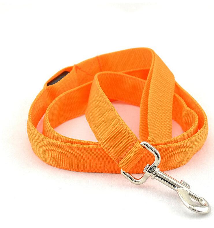 Glowing Pet Leash - Illuminated Led Dog Leash-1