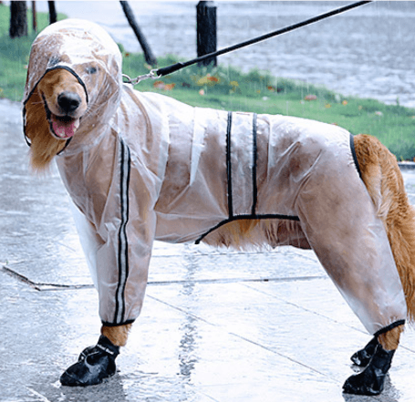 Waterproof Raincoat For Big Dogs - Stay Dry In Style-2