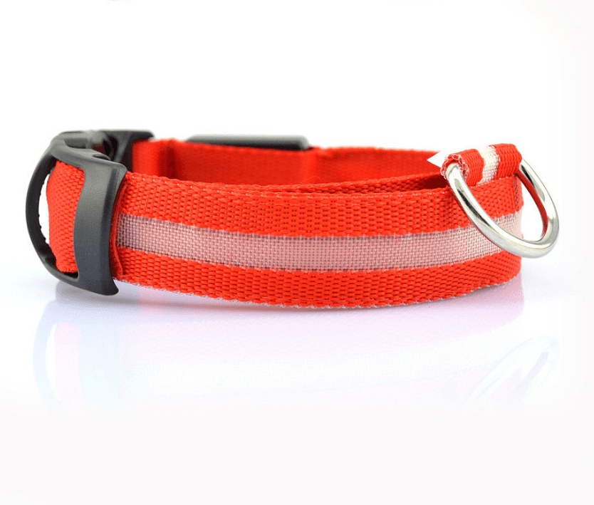 Luminous Glow-In-The-Dark Led Pet Collar: The Ultimate Night Safety Accessory For Dogs And Cats-4