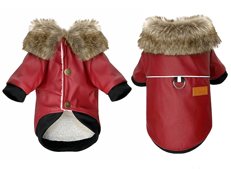 Luxury Fur-Trimmed Leather Jacket For Dogs-1