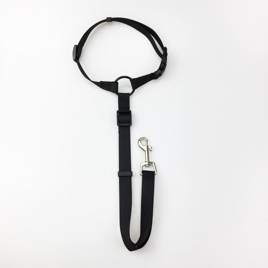 Secureflex Pet Safety Leash-5