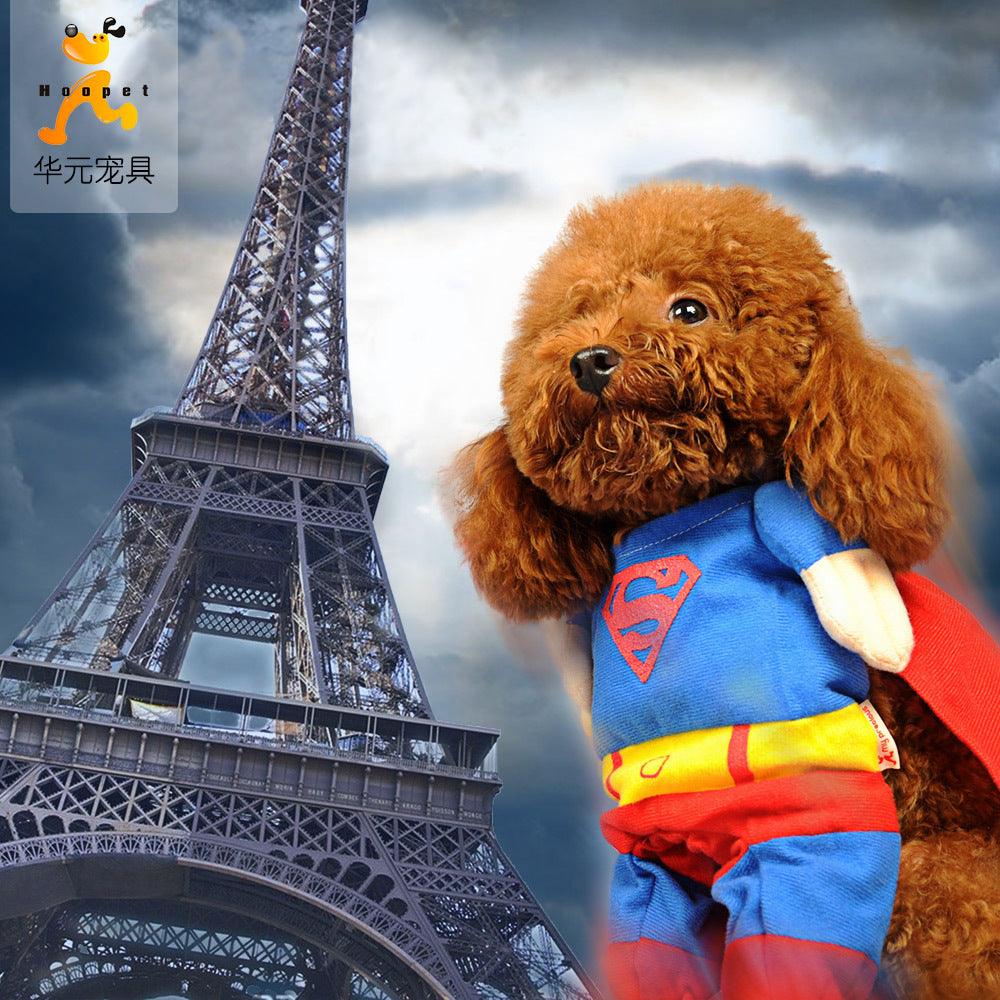 Pawsome Pet Couture: The Ultimate Dog Clothes Transformation-2