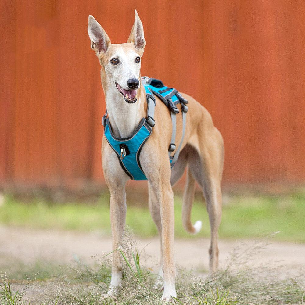 Reflective Comfortfit Pet Chest Harness Vest With Adjustable Traction Rope-1