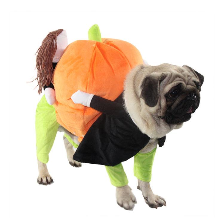 Spooky Pumpkin Pooch Costume-5