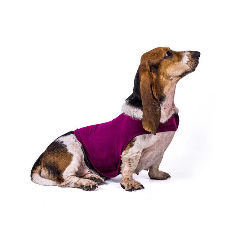 Serenity Pet Vest: Calming Comfort For Cats And Dogs-5