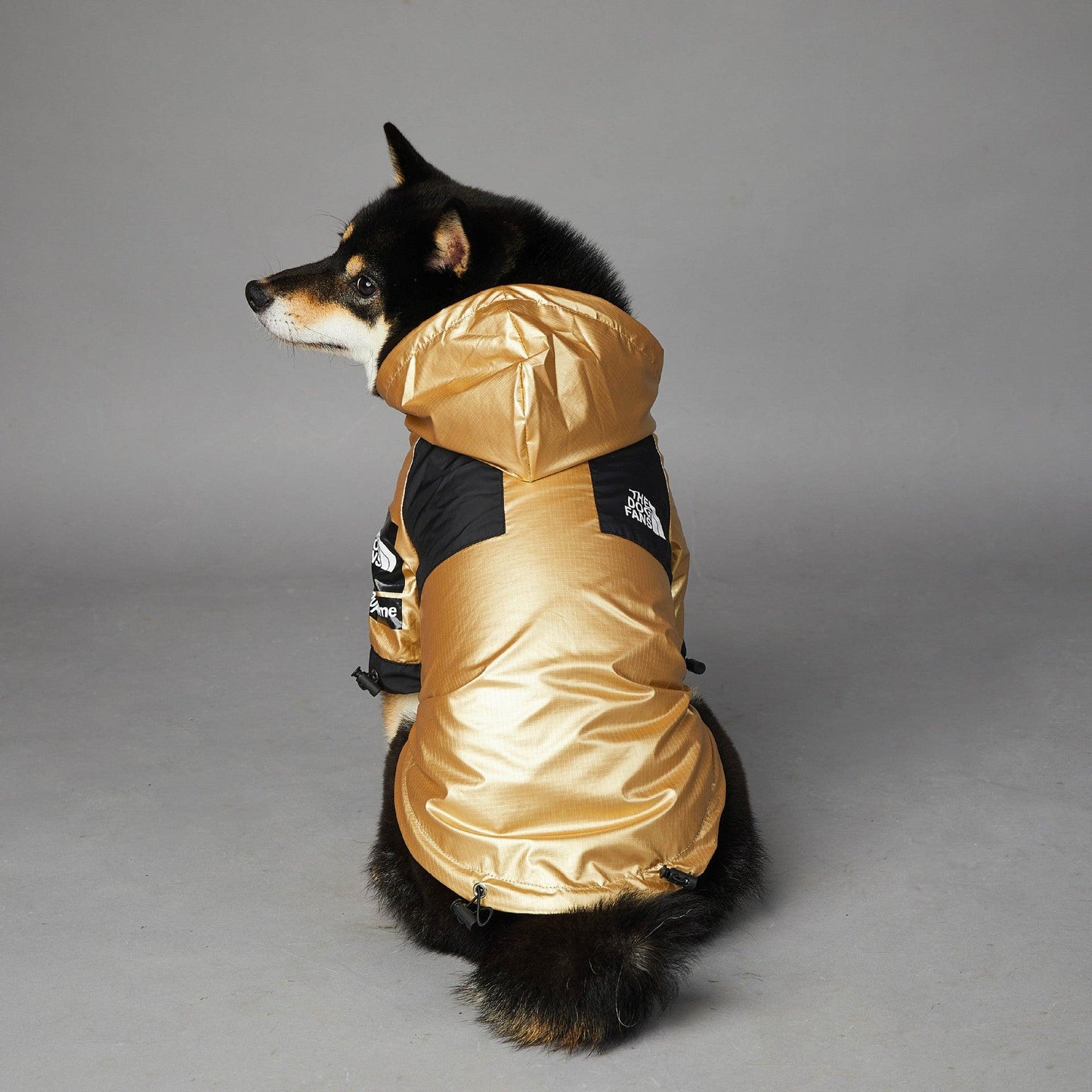 Golden Dog Raincoat - Stylish And Waterproof Pet Jacket-3