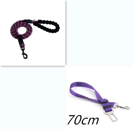Reflective Comfort Leash - Premium Nylon Dog Leash For Walking And Training - Ultimate Pet Safety And Control-2