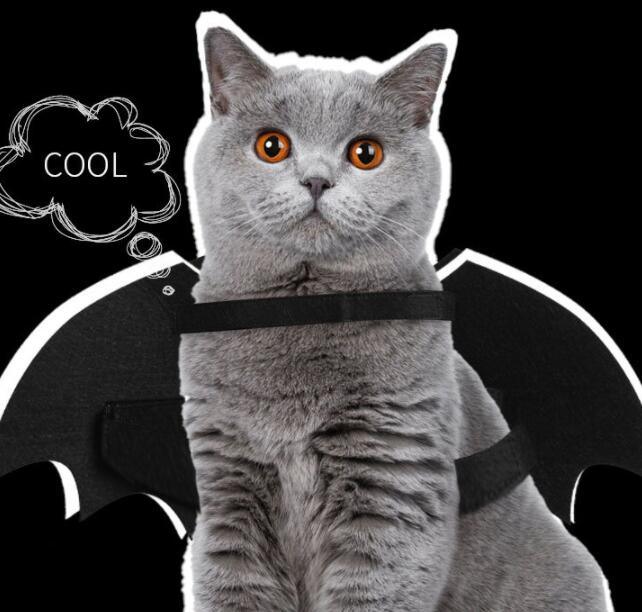 Luminous Bat Wings Dog Costume - Transform Your Pup Into A Mysterious Creature!-4