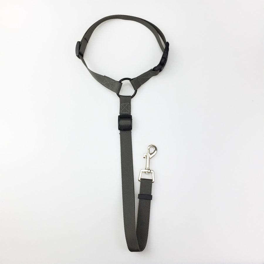 Secureflex Pet Safety Leash-6