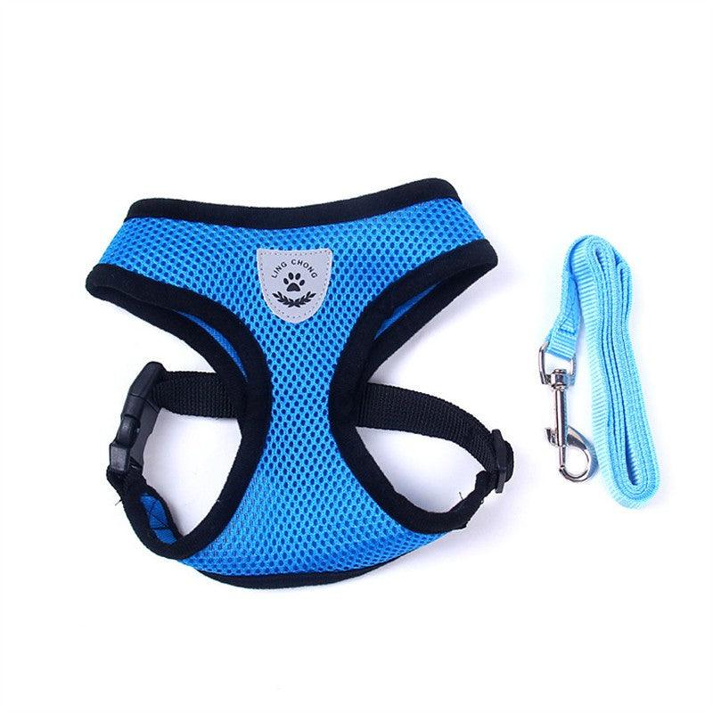 Pet Comfort Ride Leash And Seat Belt Combo-2