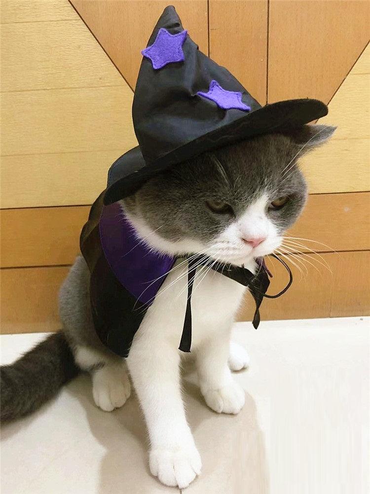 Enchanting Pet Halloween Wizard Costume Set-3