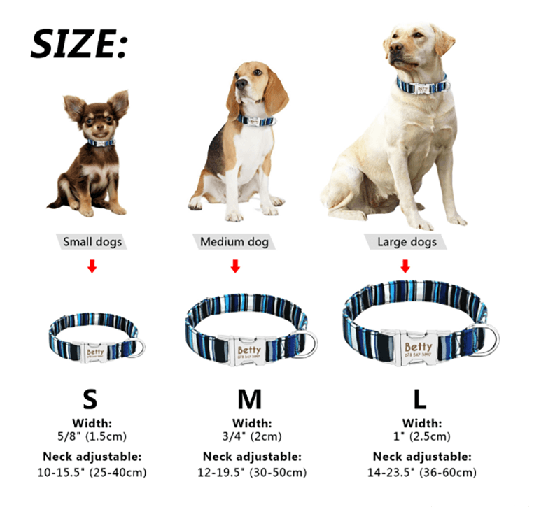 Reflective Wave Point Dog Collar: High Visibility, Adjustable, And Stylish-4