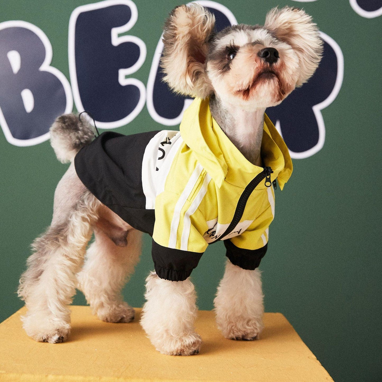 Waterproof Dog Raincoat Jacket - Protect Your Pup From The Rain-1