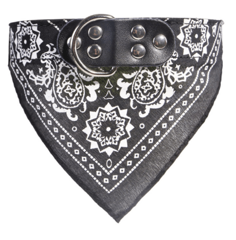 Personalized Pet Lettering Leather Dog Collar-2