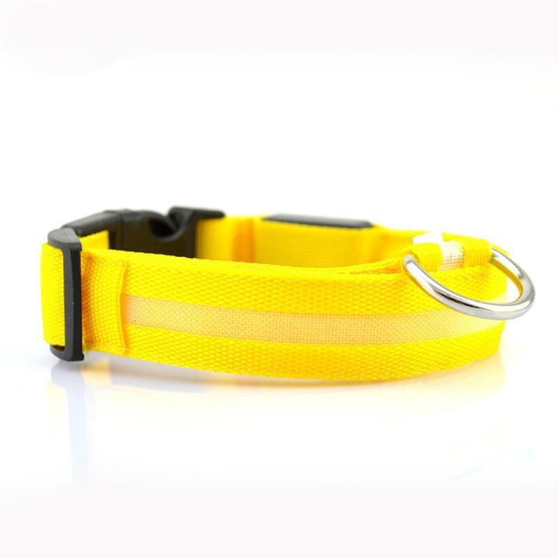 Illumipet Led Safety Collar-4