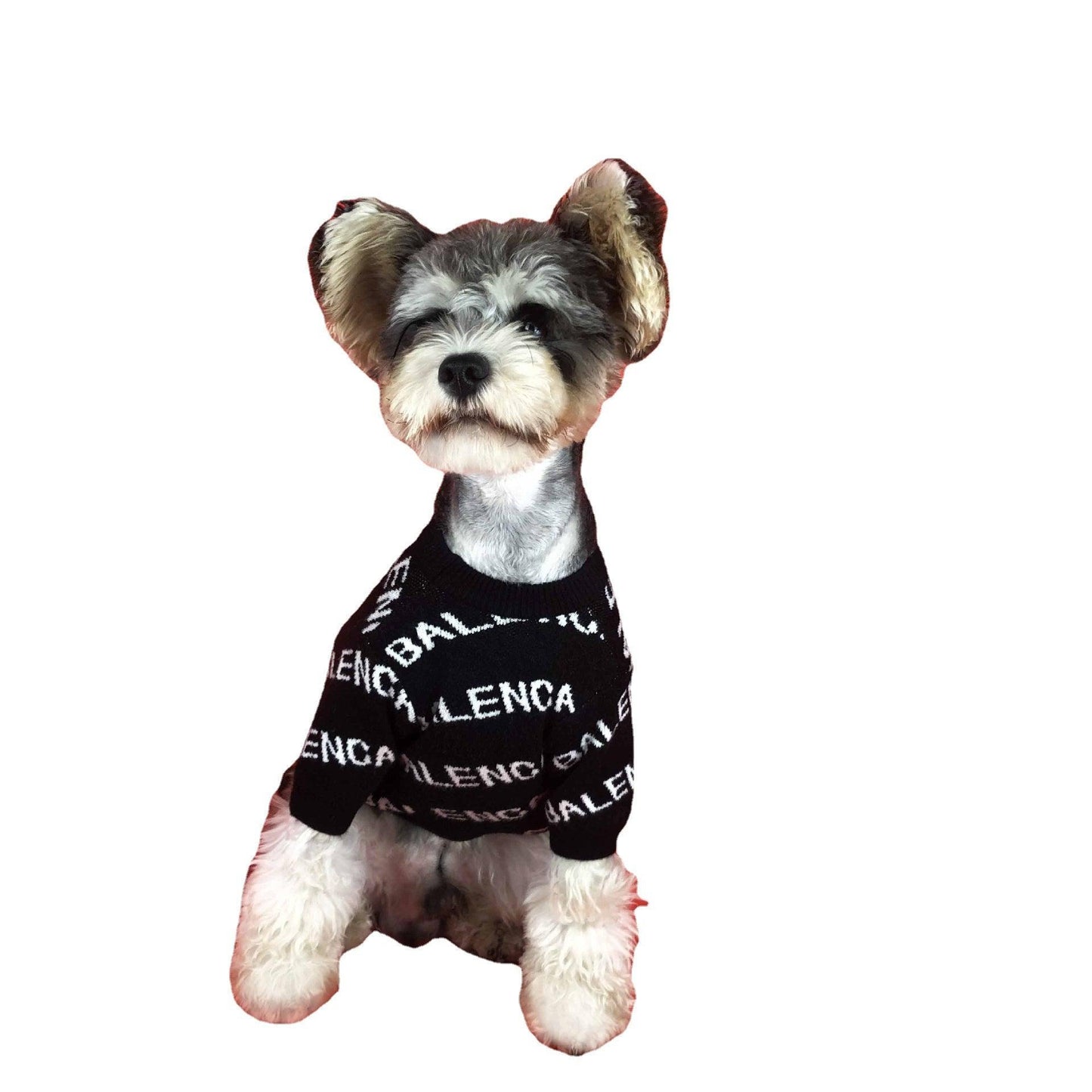 Springtime Chic Dog Sweater: Stylish Pullover For Schnauzers And More!-3