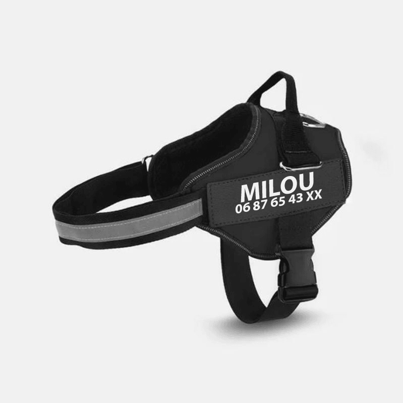 Multicolor Customizable Pet Leash: The Perfect Fashion Accessory For Your Furry Friend-0