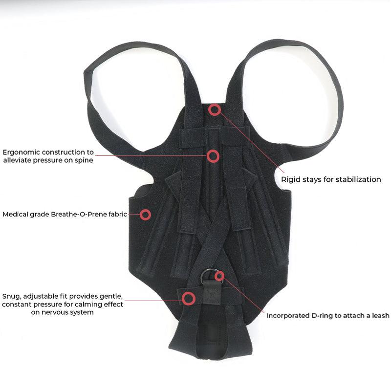 Ultimate Supportive Back Brace For Dogs: Ivdd, Arthritis, And Back Pain Relief-3