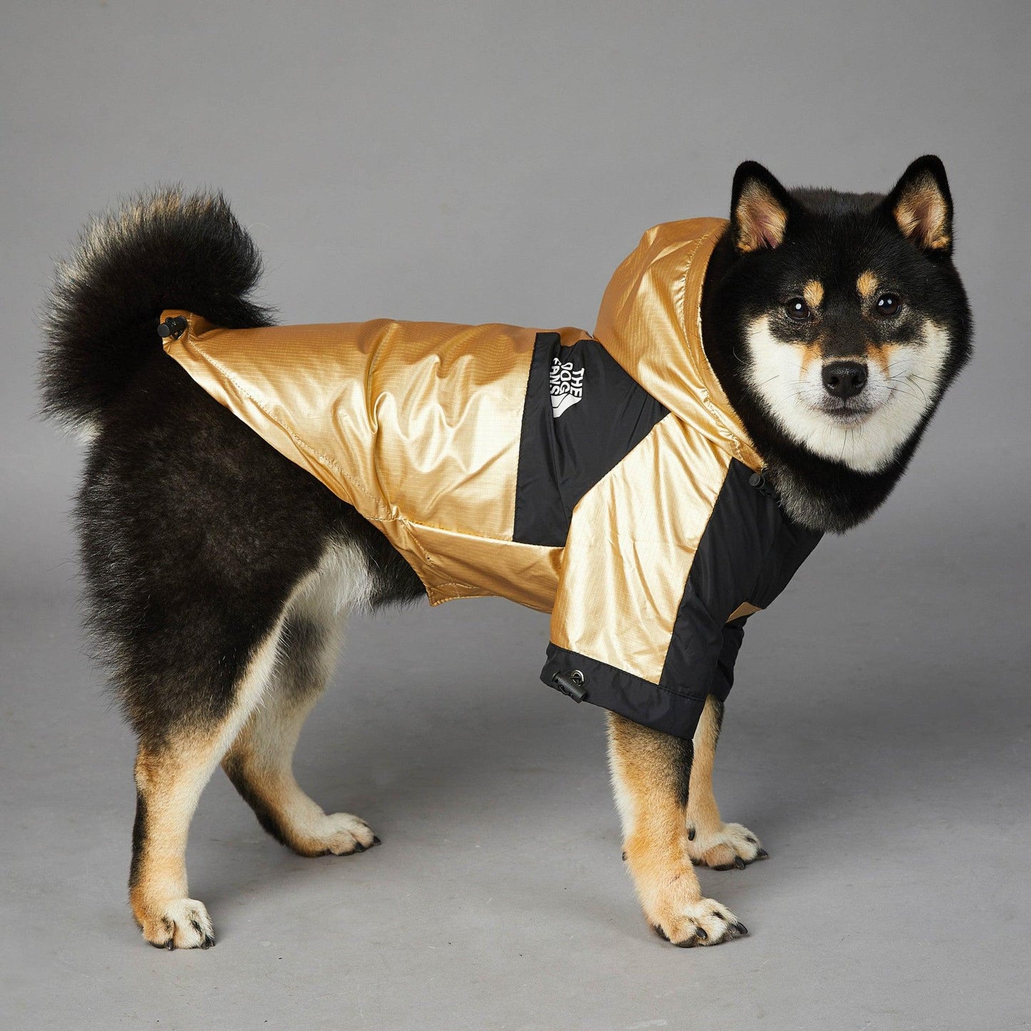 Golden Dog Raincoat - Stylish And Waterproof Pet Jacket-2