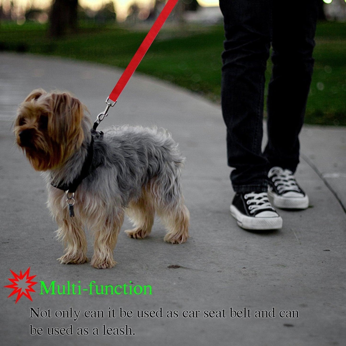 Secureflex Pet Safety Leash-1