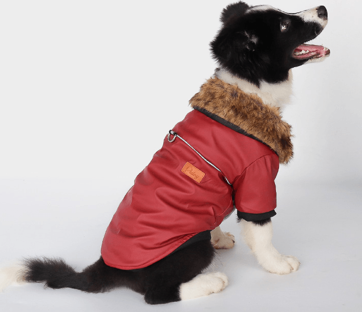 Luxury Fur-Trimmed Leather Jacket For Dogs-2