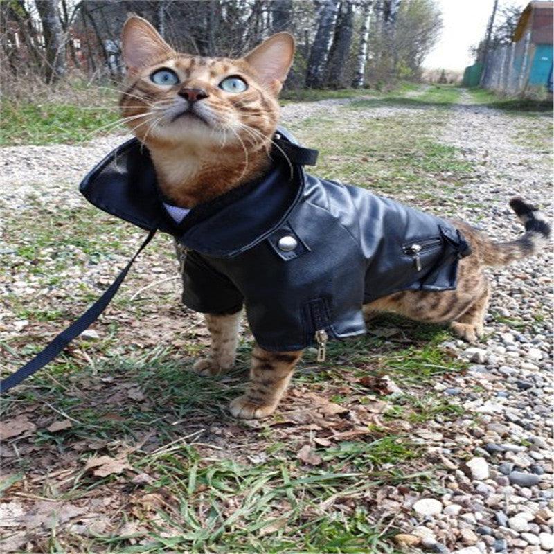 Luxury Leather Dog Coat - Chic And Stylish Pet Outerwear-2