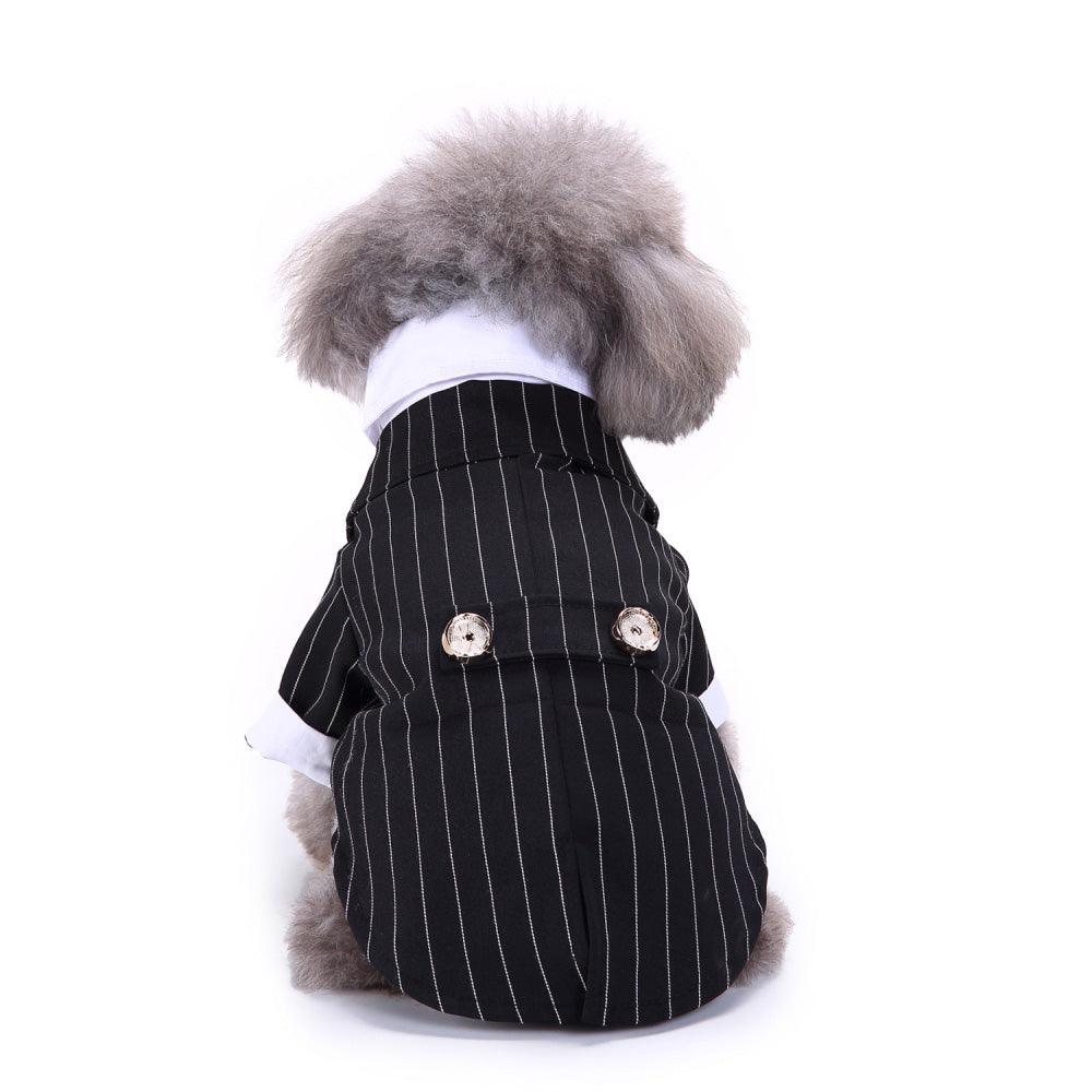 English Bulldog Pet Dog Suit-4