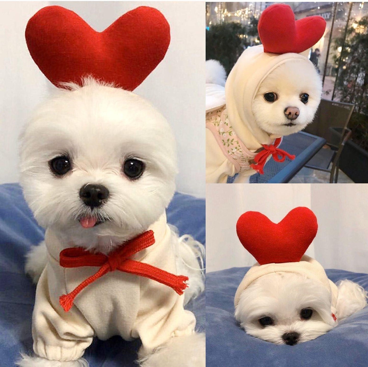 Luxury Green Fleece Dog Hoodie - Stylish Two-Legged Outfit For Autumn And Winter-6