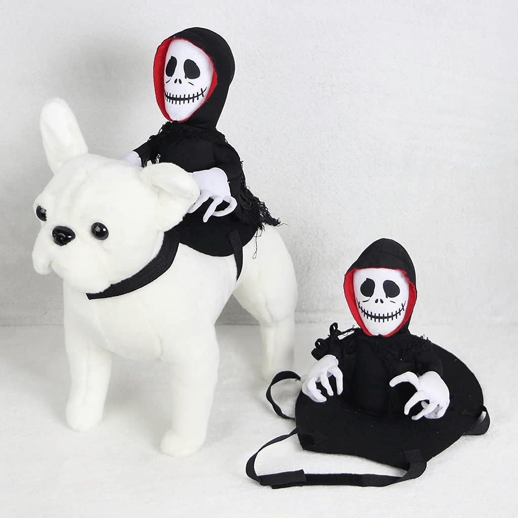 Scary Spider Rider Pet Halloween Costume-3